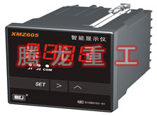 溫度表、數(shù)字顯示儀、濕度表