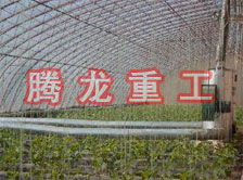 大棚花卉供暖設(shè)備、大棚卉采暖設(shè)備、大棚花卉取暖設(shè)備